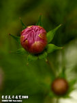P3136984