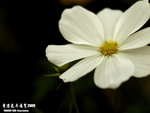 P3136998