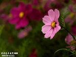 P3137034