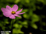 P3137040