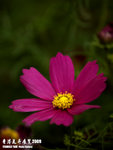 P3137048