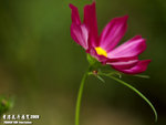 P3137082