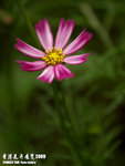 P3137083