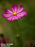 P3137085