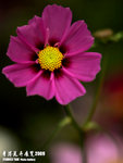 P3137104