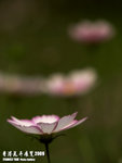 P3137218