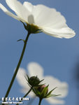 P3157860