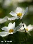 P3157911