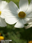 P3157924