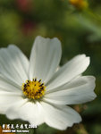 P3157925