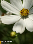 P3157927
