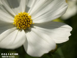 P3157929