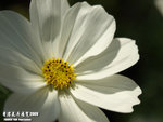 P3157931