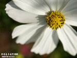 P3157940