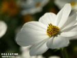 P3157944