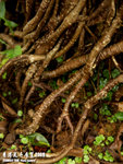 P3136879