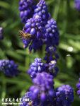 P3157818