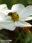 P3157955