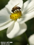 P3157971
