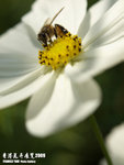P3157972