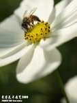 P3157974