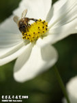 P3157976