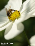 P3157977