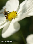 P3157978