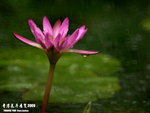 P3188382