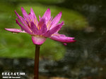 P3188386