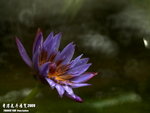 P3188399