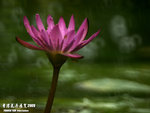 P3188403