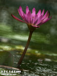 P3188410