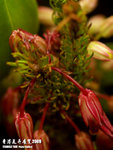 P3136917