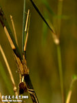 P3136963
