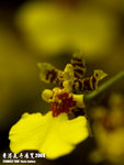 P3137010