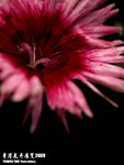 P3137012