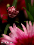 P3137013