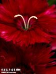 P3137016