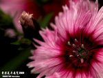 P3137017