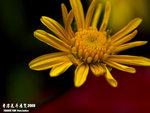 P3137020