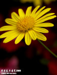 P3137022
