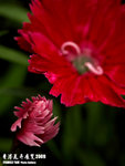 P3137024