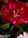 P3137030