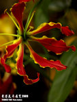 P3137097