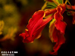 P3137099