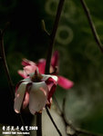 P3147543