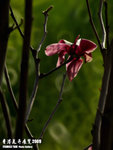 P3147544