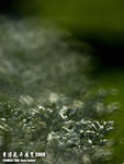 P3147547