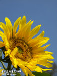 P3157802